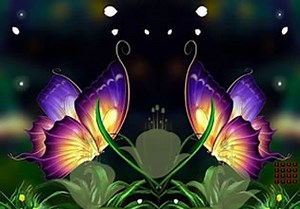 Wild Nature Scenery Escape - Escape Fan