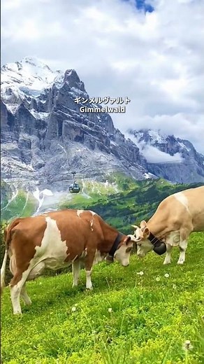 🇨🇭スイスの夏は、まるで絵本の世界…📖✨#絶景 #スイス旅行 #観光 #夏休み #ご褒美旅行