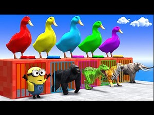 Long Slide Game With Cow Elephant Gorilla Hippopotamus Tiger - 3d Animal Game - Funny 3d Animals