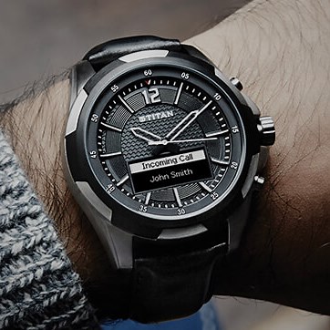 Titan Company | Business | Tata group