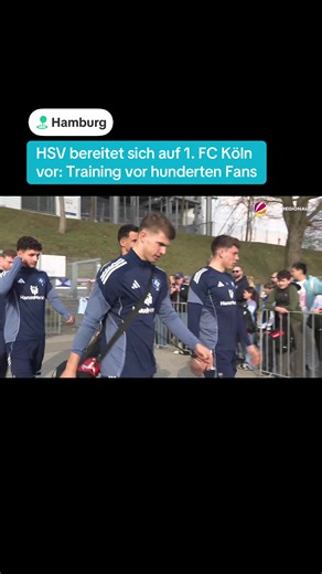 Der Hamburger SV steht aktuell solide auf Tabellenplatz 10 der Bundesliga und empfängt am Samstag den 1. FC Köln im ausverkauften Volksparkstadion. Nach zuletzt zwei Heimniederlagen wollen die Rothosen vor heimischer Kulisse wieder für einen Sieg sorgen. Zum einzigen öffentlichen Training in dieser Woche strömten am Dienstagnachmittag hunderte HSV-Fans. #hsv #bundesliga #training #fußball #hamburg