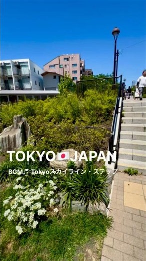 ロケハン第14弾❣️下北沢の雨庭・のはら広場をお散歩🚶‍♂️✨ #下北沢 #shorts