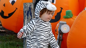 Plan your Halloween as Delaware Trunk or Treat events pop up across the state