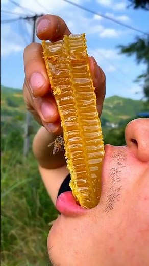 EATING HONEYCOMB!🍯🐝