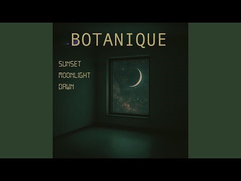 Sunset Moonlight Dawn