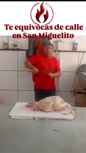 Videos de Shadow (@zubliminart) con “Como En Jamaica - El Yainis & Wybeat & El Lobby Inc”