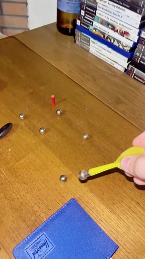 Magnetic Polarity Reversal Experiment