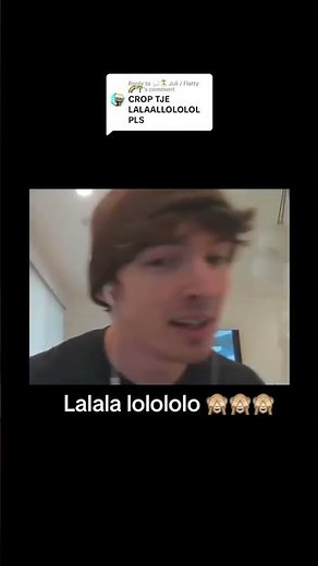 Lalala lolololo #fypシ #albert #meme #memes #albertflamingo #flamingoalbert #lol #funny #lalala #tt