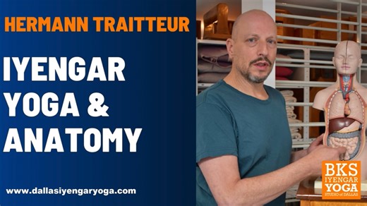Iyengar Yoga & Anatomy with Dr. Hermann Traitteur