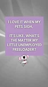 44 reactions | Our pets own us.  | Little Church Mouse | Facebook