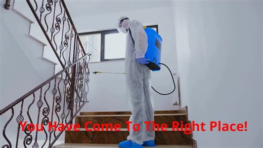 Ecola Termite - Mother Approved Exterminator in Los Angeles, CA