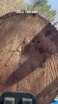 30 ton County line splitting 26 inch red oak ￼