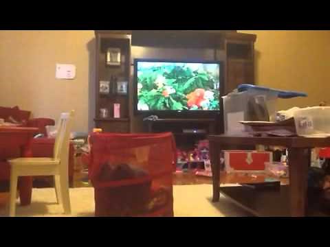 Ooh and Ahh Playhouse Disney