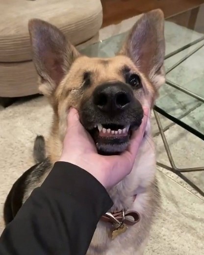 "What do you see yourself doing next year?" Me: ... | LADbible