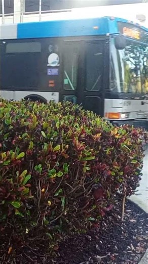 Miami Dade Transit: 2006 NABI 40 LFW #06150