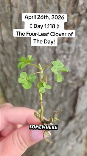 Day 1,118- Finding You a Four-Leaf Clover.🍀 #fourleafclover #nature #plants