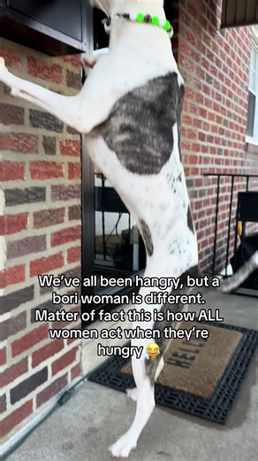 Food is the way to a woman’s heart fellas 😂 | food