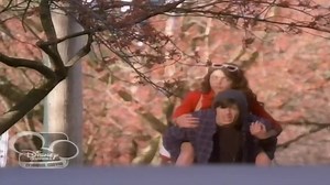 Tocilarul Fermecator