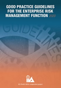 Good Practice Guidelines for the Enterprise Risk Management Function - IIA