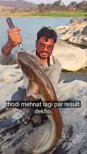 Catfish #fishing #viral#shorts
