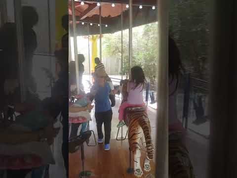 Riding on the Wildlife Carousel at Houston Zoo