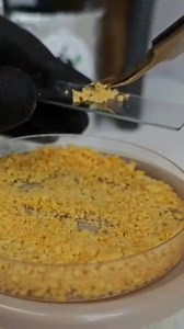 Microscope Under 😱 😱 . . . . #food #microscope #undermicroscope #facebookreel #Amazing amazin | Microscope Under