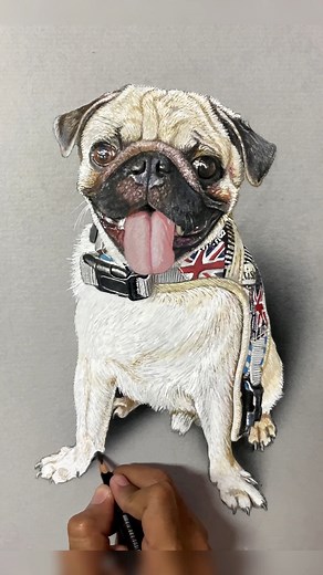 Realistic Dog Drawing ✍️ 😱 #dogportrait #drawingoftheday #fyp #realisticdrawing #artwork #mixedmedia #viralreelsシ #viralpost | RJ Rey Agones Burlat