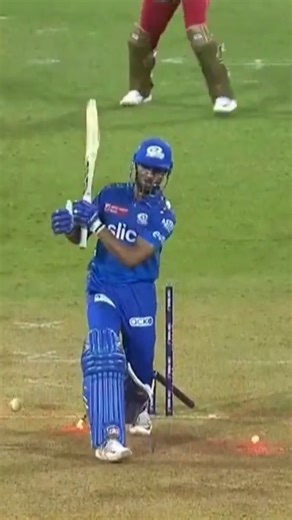 cricket stump break 🫡