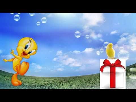 ο κύριος με το καπέλο γλώσσα Α΄