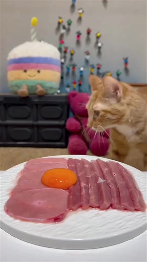 Cat Mukbang Adventure: ASMR Eating Sounds