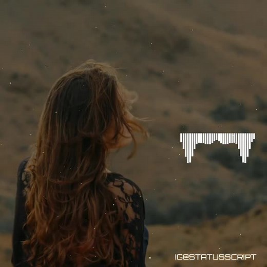 STATUS SCRIPT on TikTok