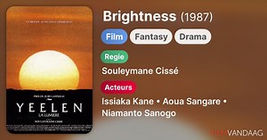Brightness (1987)