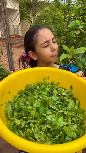 240K views · 12K reactions | Placali sauce Kplala ❤️ le goût de ça...