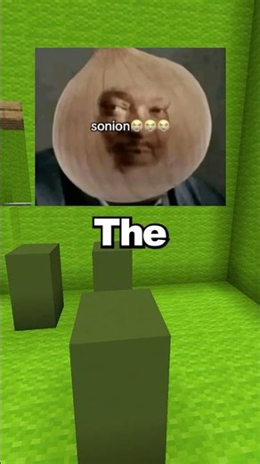 Sonion Meme Explained...