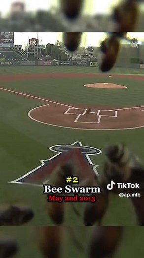 AP | MLB ⚾️ on TikTok