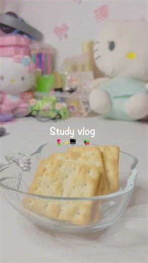 study wm ⋆. 𐙚 ˚🌻✨🎧 #easthatic #study #youtubeshorts #srilanka #studywithme #sethuzii #minivlog