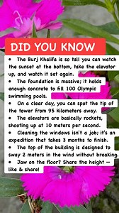 The Skyscraper That Broke Physics 🏙️ #dubai #engineering #megastructures | Ustaz EbitLew