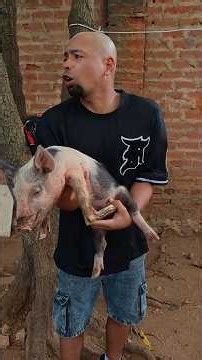Mi amiguito porky 🐷 #humor #comedia #funny
