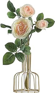 Amazon.com: Simple Flower Vase, Iron Art Vase, Clear Glass Test Tube Vases Decorative for Home Office : Home & Kitchen