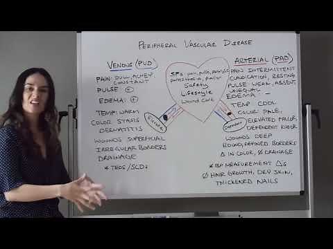 Peripheral Artery Disease (PAD) vs. Peripheral Venous Disease (PVD)