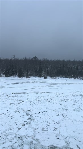 shivermetimbers40niner (@shivermetimbers40niner)’s videos with Man Of The North by Liam St. John - mrliamstjohn