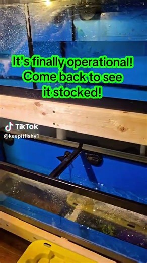 It's finally complete ! #fish #fishkeepinghobby #fishkeeping #fishkeeper #fishtank #fishaquarium