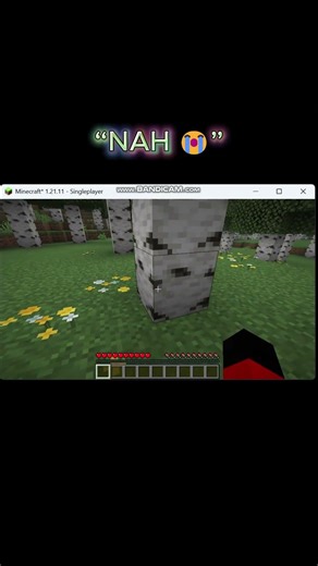 Minecraft but I’m scared of ONE block… 💀