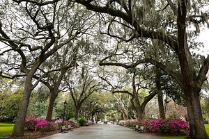 What to do in Savannah's most beautiful parks and open spaces