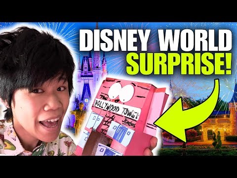 [PT. 2] WE ARE GOING TO DISNEY WORLD!! I Trapped a Leprechaun and He GRANTED MY WISH!