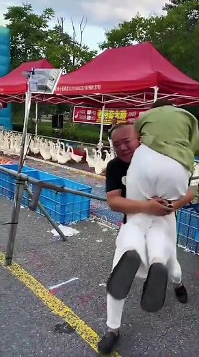 日本の爆笑シーン集！笑いが止まらない面白動画 🤣