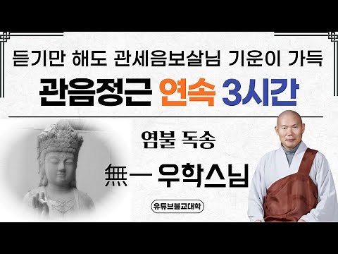 관음정근 3시간 연속듣기 (우학스님 독송)