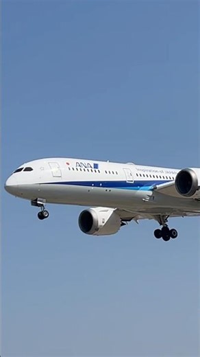 B787-9（JA830A）/千里川土手2026.2.21#shorts#大阪空港