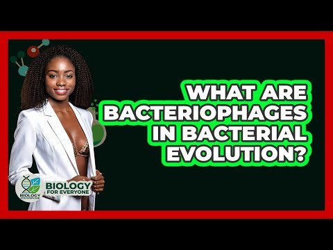 What Are Bacteriophages In Bacterial Evolution? - Biology For Everyone