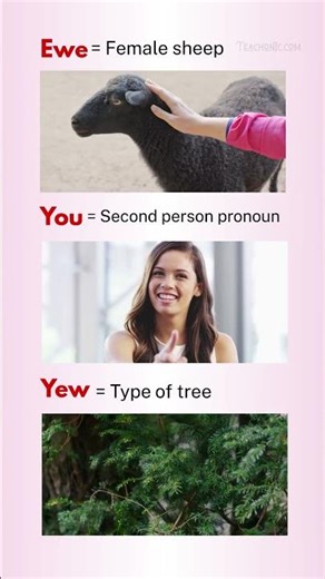 Confusing English Homophones Explained | Cymbal vs Symbol, Faze vs Phase | English Vocabulary